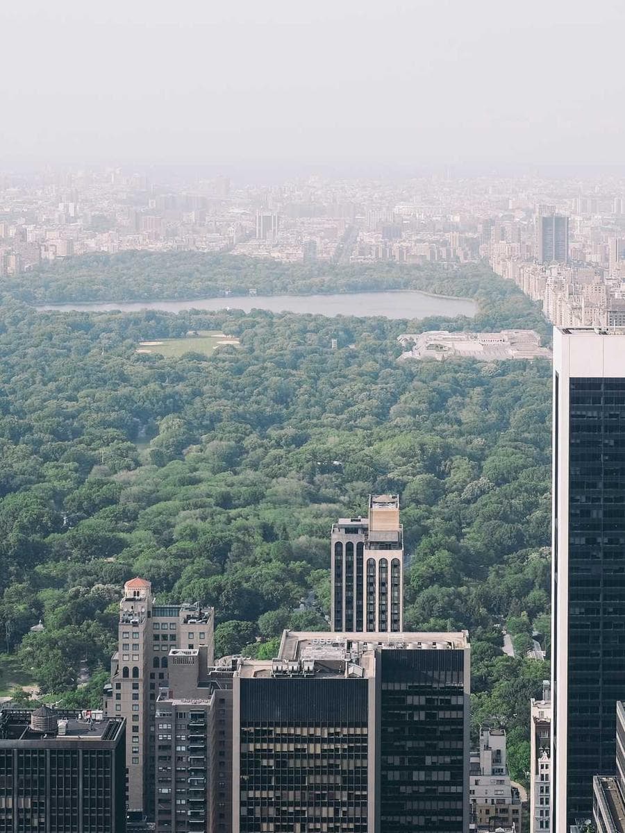 Parque arborizado no meio da cidade, visto do alto entre os prédios