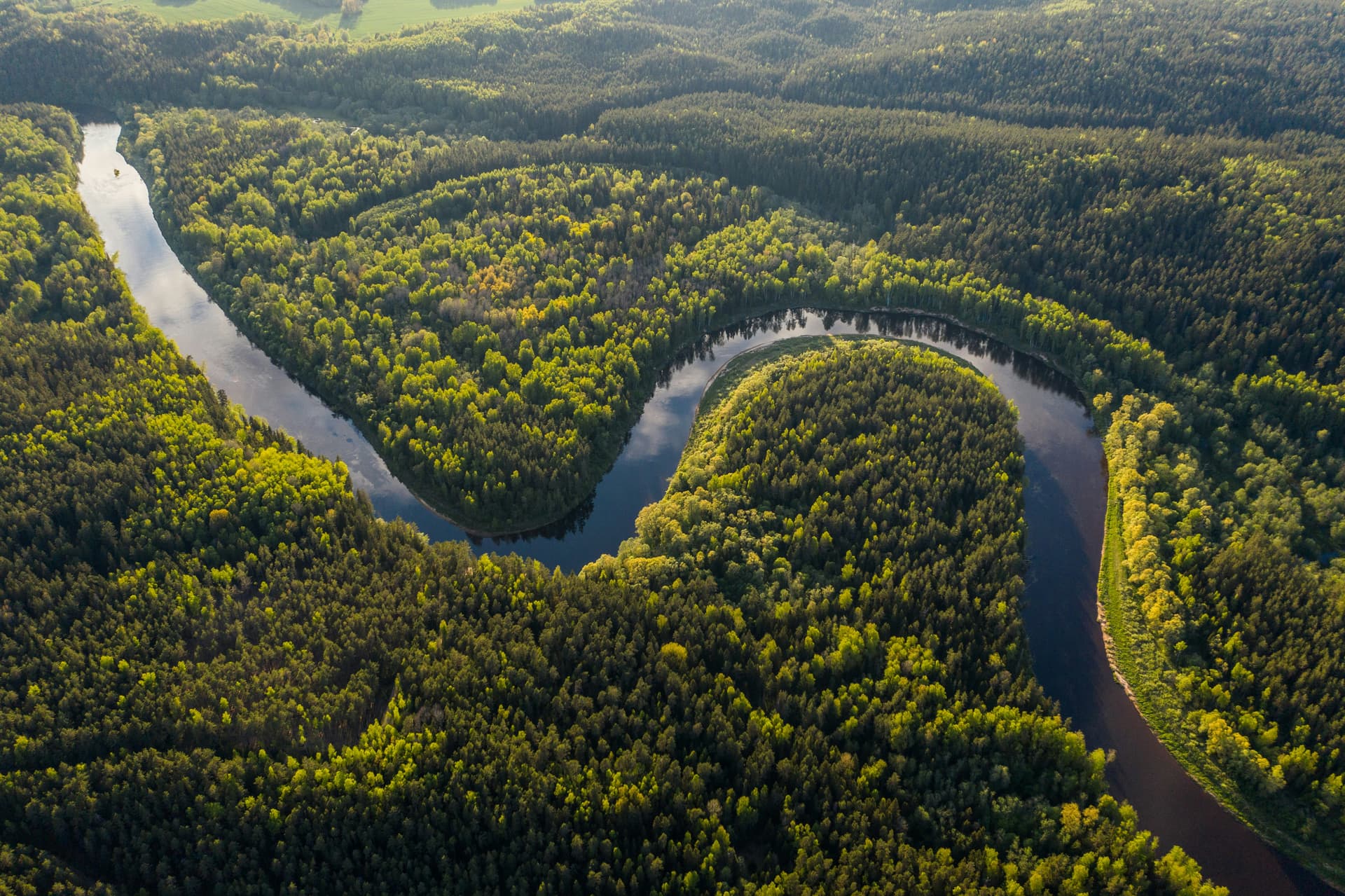 Vista aérea de um rio sinuoso cortando uma floresta densa ao amanhecer
